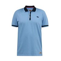 D555 Stripe Jersey polo with rib Collar Sky